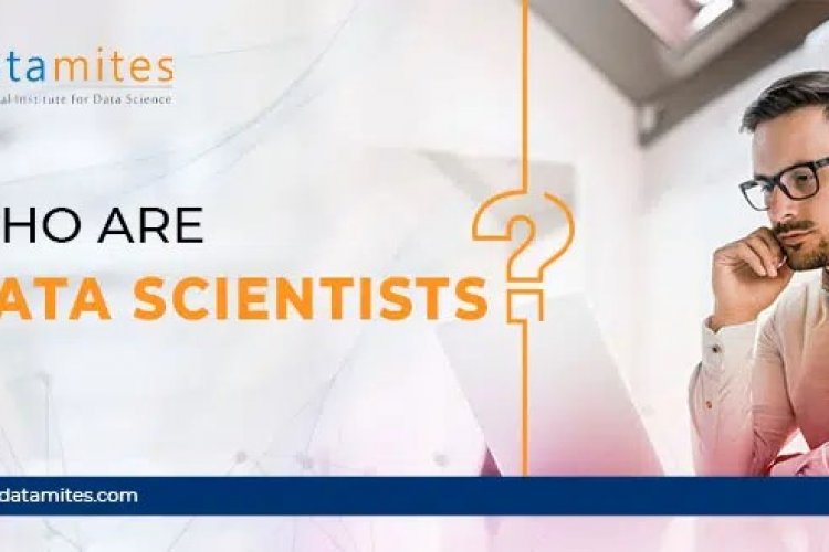 Who Are Data Scientists Datamites Offical Blog