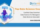 Pursuing a career in Data Science and Artificial Intelligence- Is it the right time?
