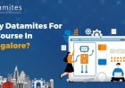 Why DataMites for Artificial Intelligence Course in Bangalore