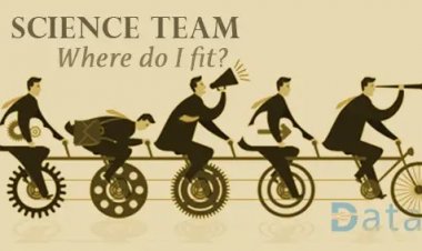 Data Science Team Structure – Where Do I Fit?