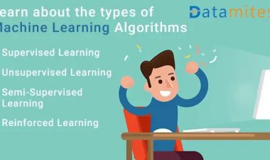 Learn about the Types of Machine Learning Algorithms