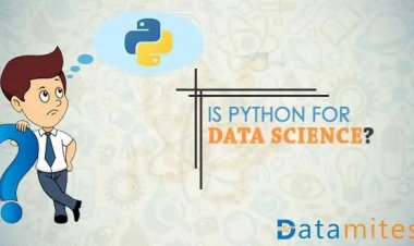 Is Python THE MOST PREFERRED LANGUAGE FOR Data Science?