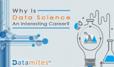 Why Is Data Science An Interesting Career?