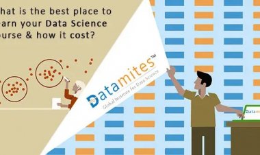 What Is The Best Place To Earn Your Data Science Course And How It Cost?