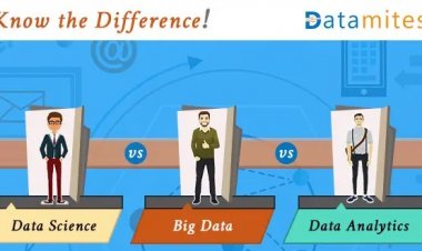 Data Science vs. Big Data vs. Data Analytics – Know the Difference