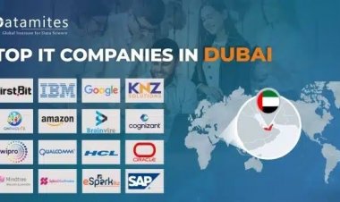 What are the Top IT Companies in Dubai?