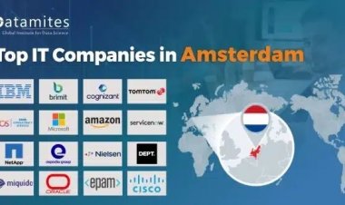 What are the Top IT Companies in Amsterdam?