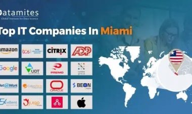 What are the Top IT Companies in Miami?
