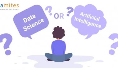Should I Choose Data Science or Artificial Intelligence (AI) for My Career?