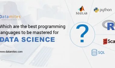 Which are the best programming languages to be mastered for Data Science?
