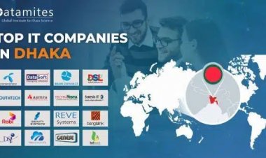 What are the Top IT Companies for Dhaka?