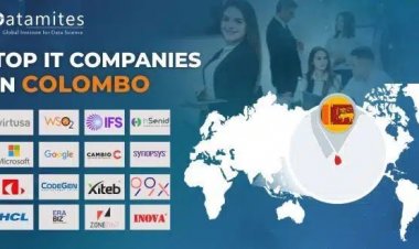 What are the Top IT Companies in Colombo?