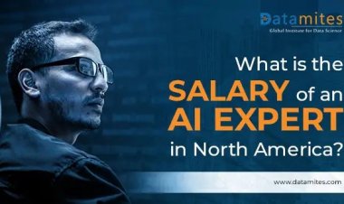 What is the Salary of an AI Expert in North America?