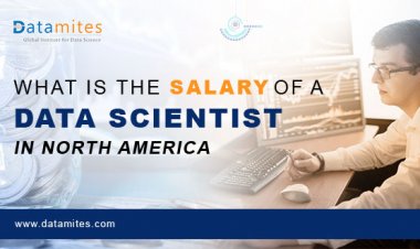 What is the Salary of a Data Scientist in North America?