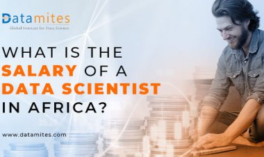 What is the Salary of a Data Scientist in Africa?