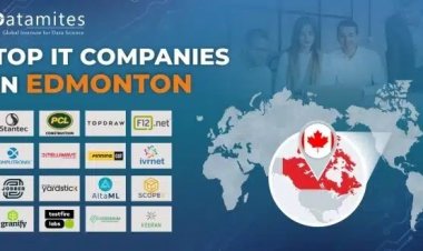 What are the Top IT Companies in Edmonton?