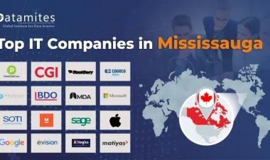 What are the Top IT Companies for Mississauga?