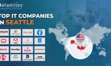 What are the Top IT Companies in Seattle?