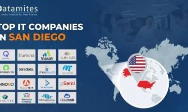 What are the Top IT Companies in San Diego?