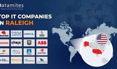 What are the Top IT Companies in Raleigh?