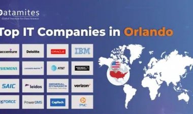 What are the Top IT Companies in Orlando?