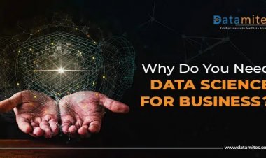 Why Do You Need Data Science for Business?