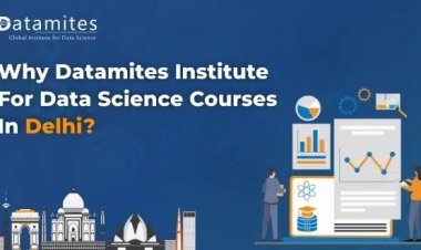 Why DataMites is the Best Choice for Data Science Course in Delhi?