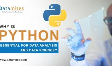 Why is Python Essential for Data Analysis and Data Science?