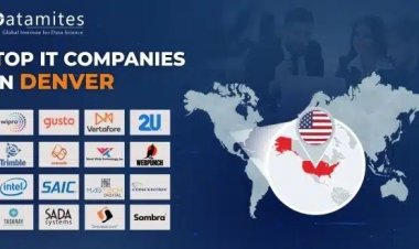 What are the Top IT Companies in Denver?