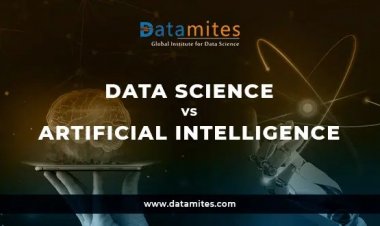AI or Data Science Learn In Detail