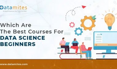 What are the Best Courses for Data Science Beginners?
