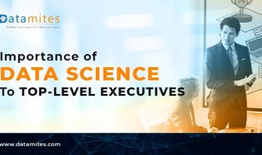 How Significant is Data Science for Top-Level Executives?
