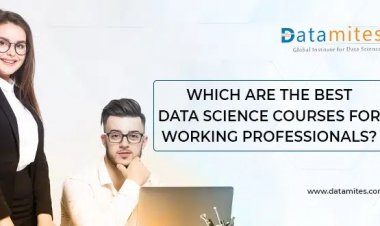 Which are the Best Data Science Courses for Working Professionals?