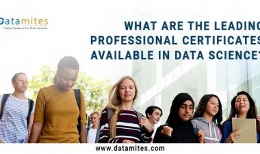 What are the Leading Professional Certificates Available in Data Science?
