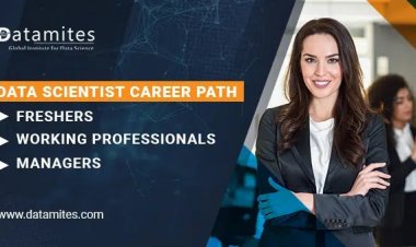 Data Scientist Career Path – Fresher, Working Professionals and Managers