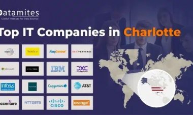 What are the Top IT Companies in Charlotte?