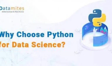 Why Choose Python Programming for Data Science?