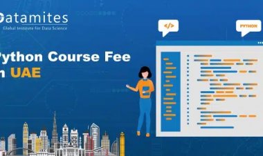 How Much is the Python Course Fee in UAE?