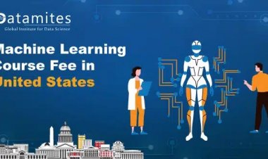 How much is the Machine Learning Course fee in the USA?