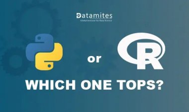 Python vs R – Which one tops?