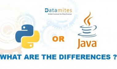 Do You Prefer Python or Java?