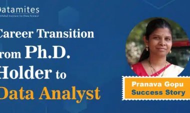 Career Transitions from Ph.D. Holder to Data Analyst