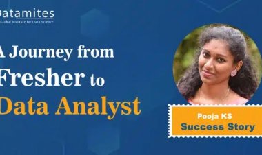 A Journey from Fresher to Data Analyst