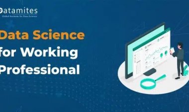Data Science Courses for Working Professional