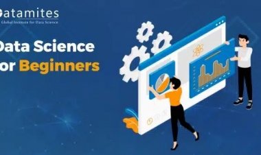 Data Science Course Journey for Beginners