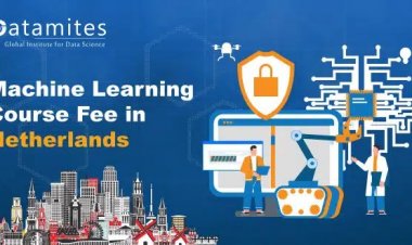 How Much is the Machine Learning Course Fee in Netherlands?