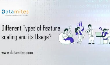 Different Types of Feature Scaling and Its Usage?