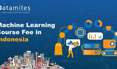How Much is the Machine Learning Course Fee in Indonesia?