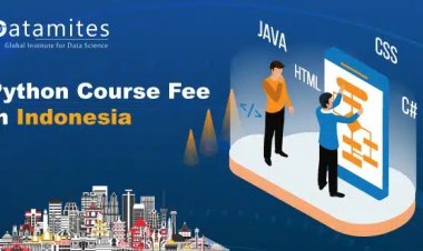 How Much is the Python Course Fee in Indonesia?