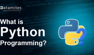 What is Python Programming?